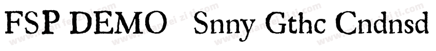 FSP DEMO   Snny Gthc Cndnsd Regula字体转换